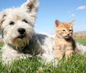 The BEST  listings near albuquerque-marketplace